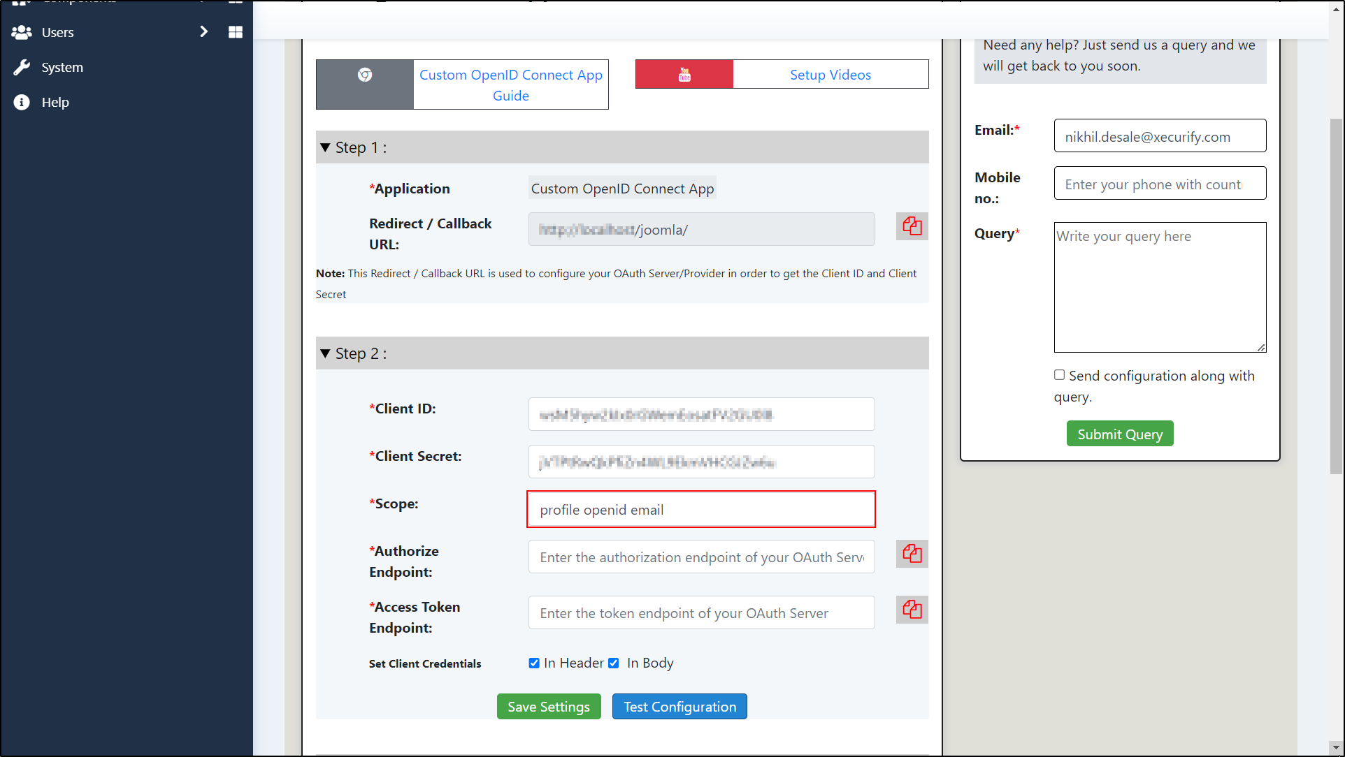 Joomla OAuth Client Enter Scopes