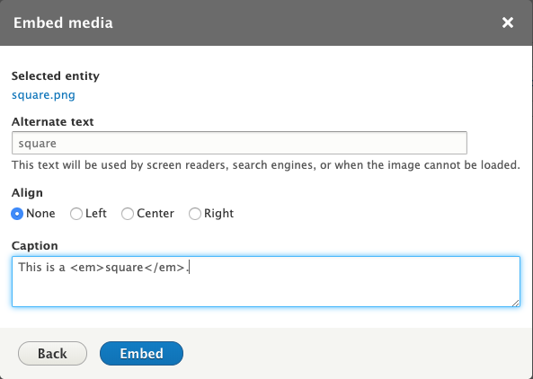 Embed modal with HTML in caption