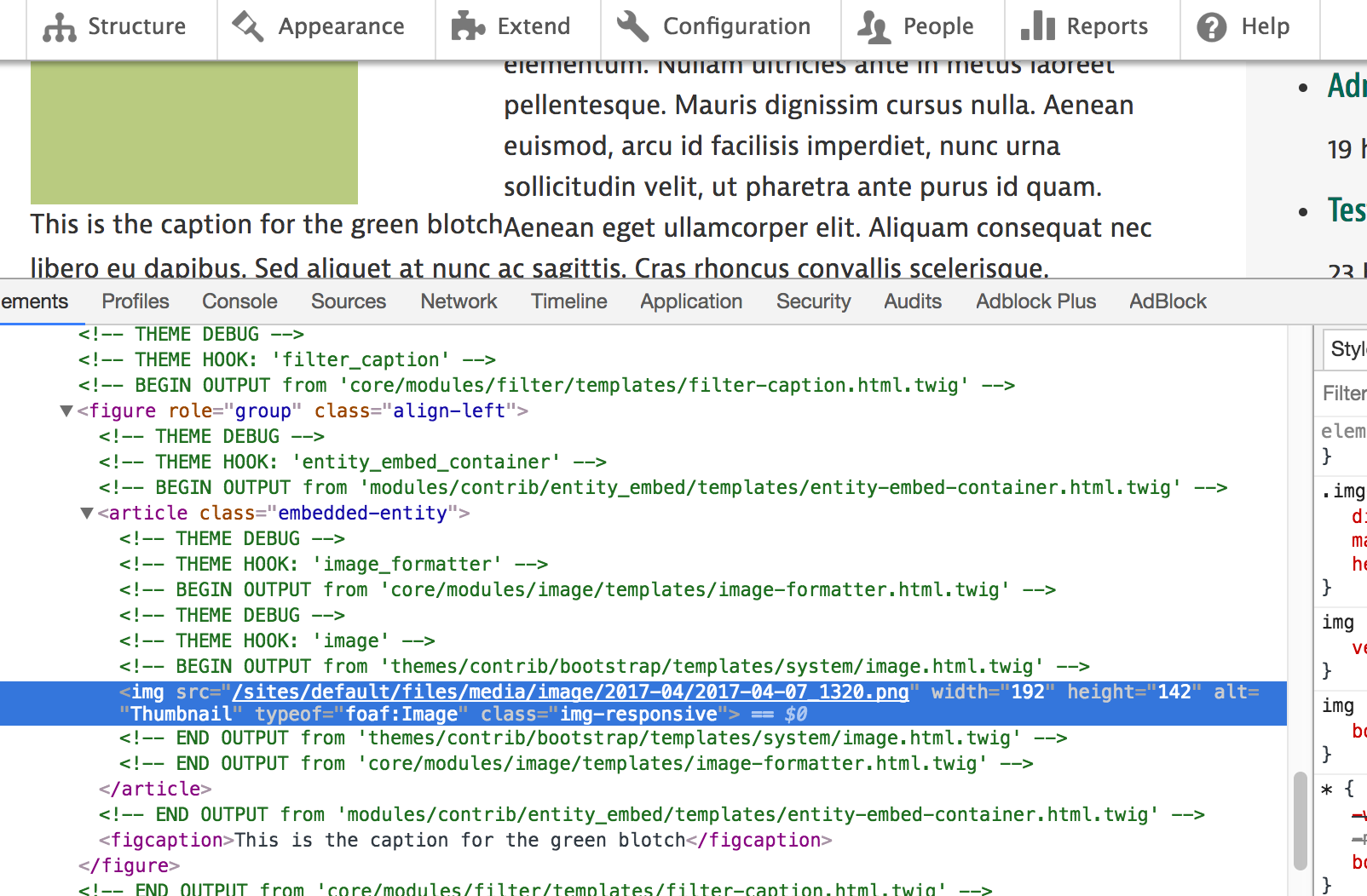 Alt text is not showing properly