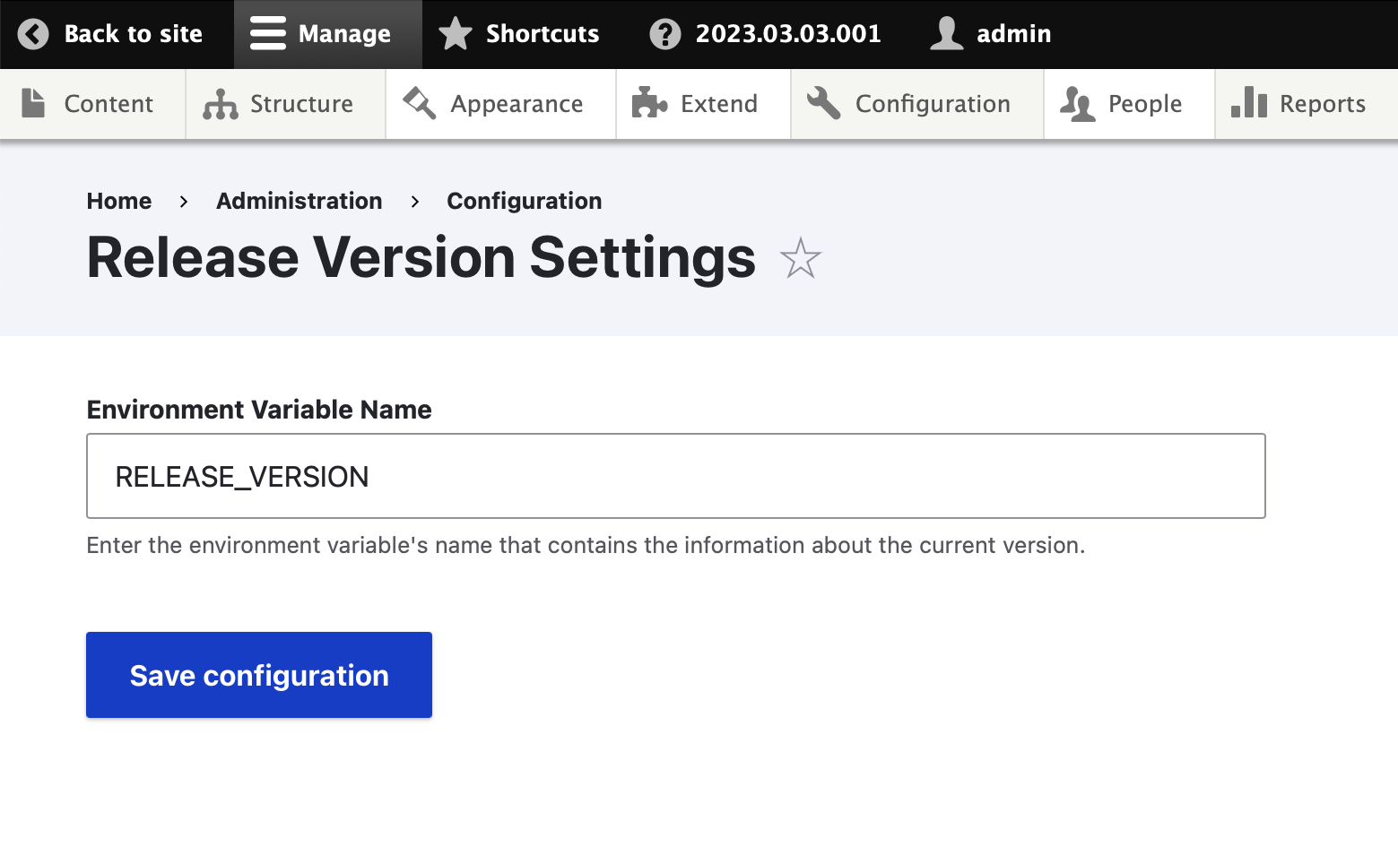The config form for the Release Version module.
