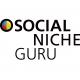 socialnicheguru’s picture
