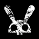 spacerabbit’s picture