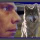 Wolfflow’s picture