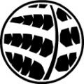 fernly's picture