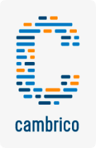 cambrico