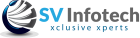 SV Infotech