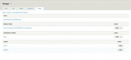 Admin interface of the "Usage" tab for a given entity
