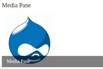 demo picture of media pane