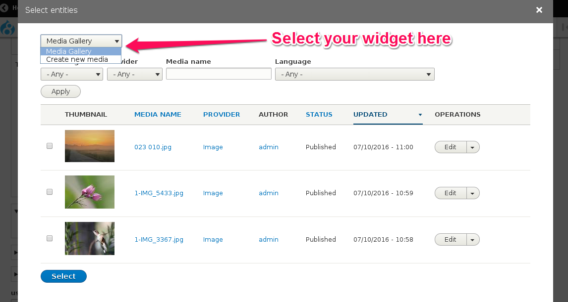 Widget selection dropdown for entity browser