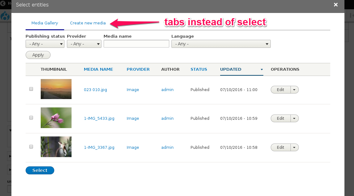 Widget selection tabs for entity browser